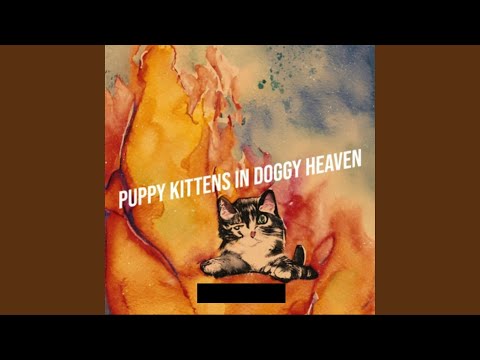 Puppy Kittens In Doggy Heaven - LisaCow