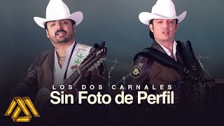 Sin Foto De Perfil Lyrics English Translation