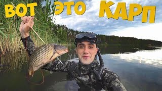 ВОТ ЭТО КАРП ШАШЛЫК ИЗ КАРПА ПОДВОДНАЯ ОХОТА
