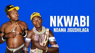 Download lagu NDAMA JIGUSHILAGA_FT_NKWABHI LUCHAGULA__BHUTEMI=MBASHA STUDIO 2026 mp3