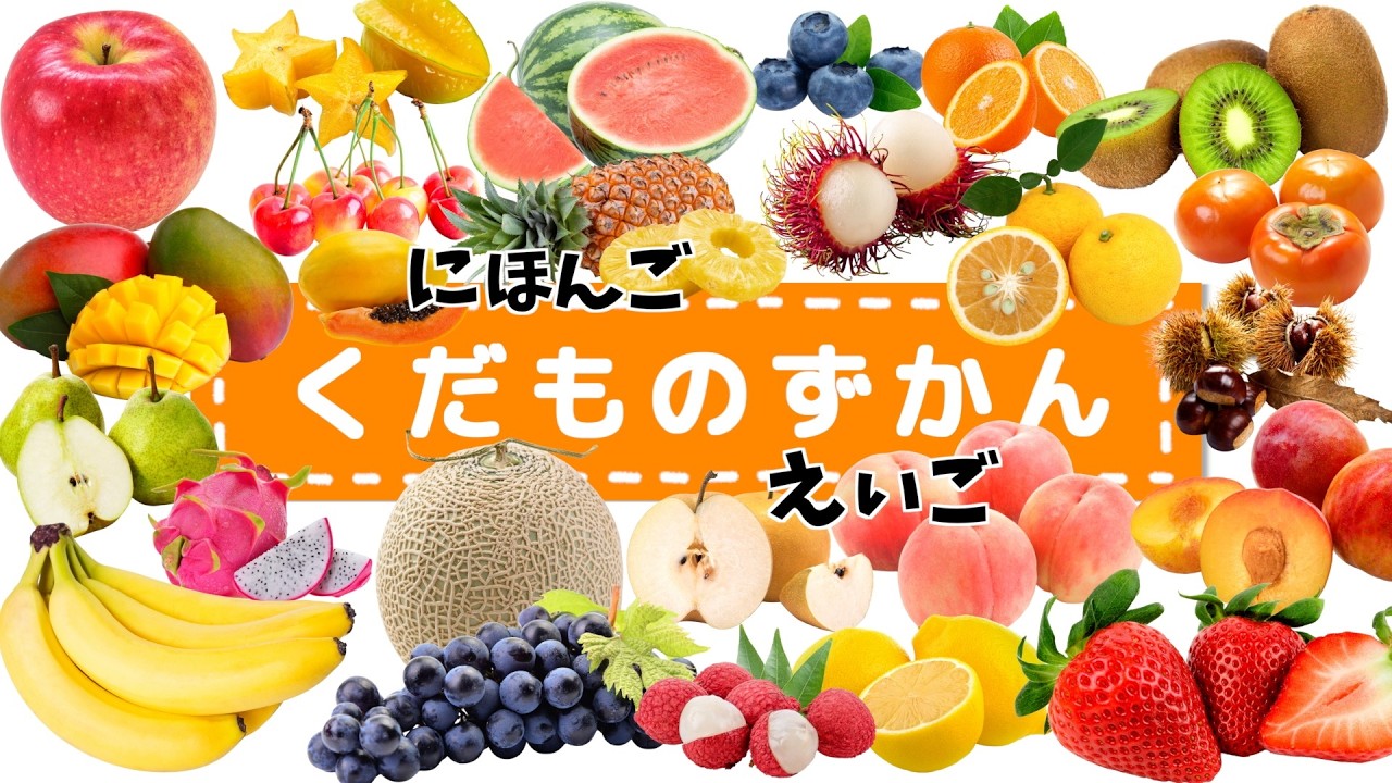 【フラッシュカード日本語 英語】くだものずかん 本物の果物がいっぱい☆英語と日本語でくだものの名前を覚えよう！｜楽しく学んで好き嫌いを克服♪ 知育 脳トレ動画｜くだものチョッキン♪