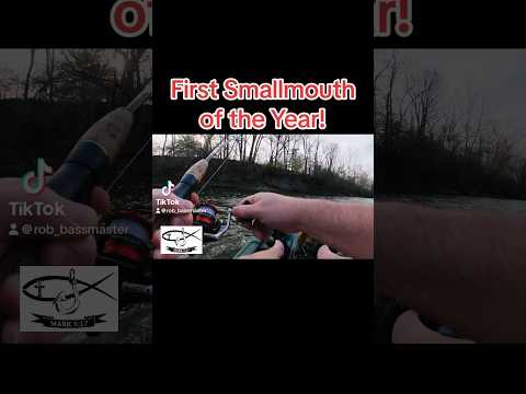 First Smallmouth of the Year! #shorts #fishing #fyp #youtube #spring #subscribe #bass #usa #kayak