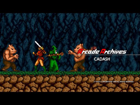 Arcade Archives Cadash still