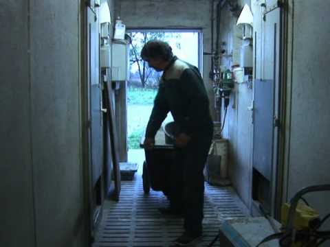 Save our bacon, say French pig farmers