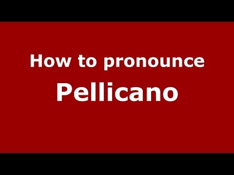 How to pronounce Pellicano (Italian/Italy) - PronounceNames.com