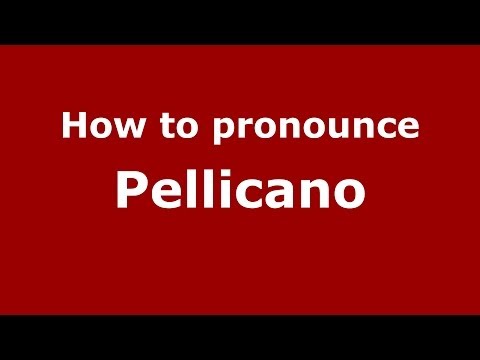 How to pronounce Pellicano
