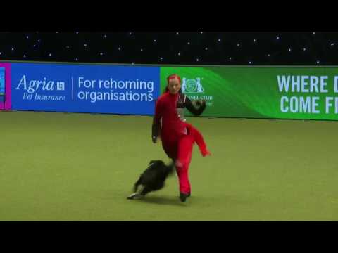 Crufts 2017 : Lucka Plevová & Jump