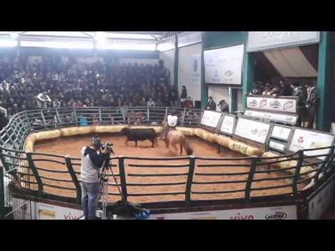 Oraca Do Itapororó - freio de Ouro 2013