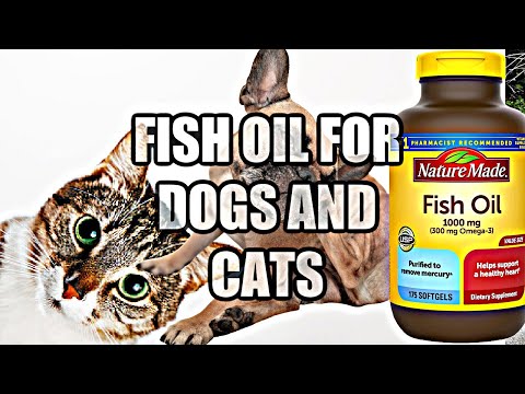 BENEFITS OF FISH OIL FOR DOGS AND CATS