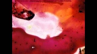 Amp - Stellata