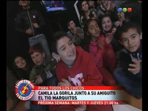 Camila the Gorilla - Uncoded Danger