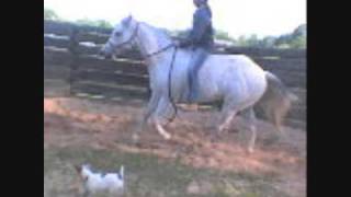 Gray and Mac - Get Back On That Pony(Chris LeDoux)