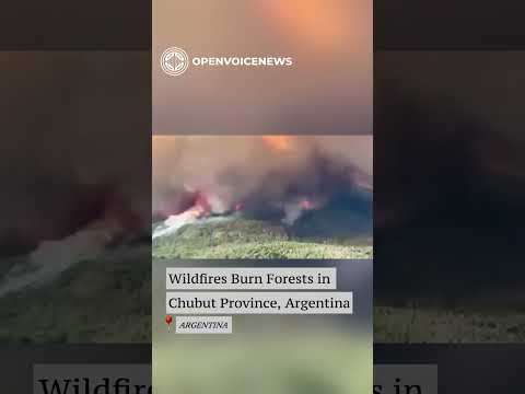 Wildfires Burn Forests in Chubut Province, Argentina
