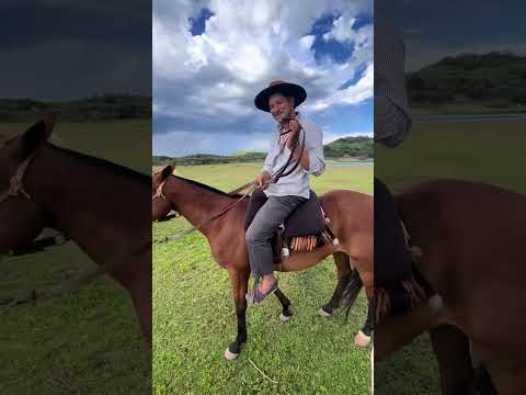 Finca Santa Anita, Coronel Moldes, Salta