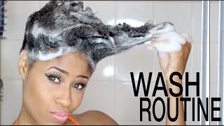 Natural Hair | WASH DAY ROUTINE (Start to Finish!)
