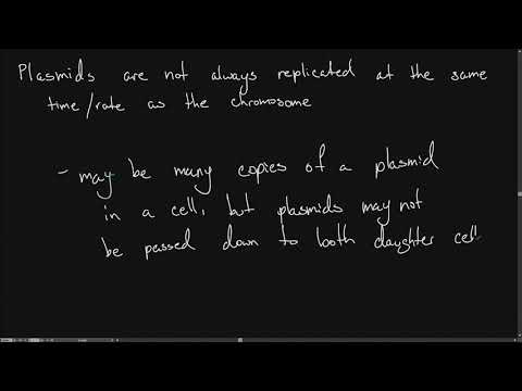 IB Bio 3.2 Chromosomes .2 - Prokaryotes; Plasmids; Gene transfer; Resistances