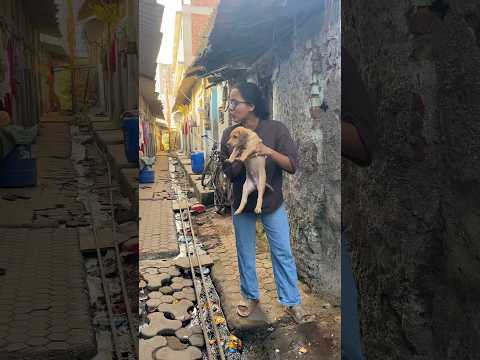 Aj mera jhagda hua kutte ko leke ek uncle se☹️😤 #lifeofdeepa #minivlog #minishorts