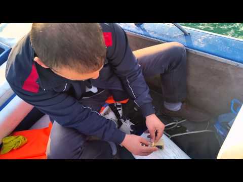 Kaptan saglam olmasa hapi yutmuşuz..