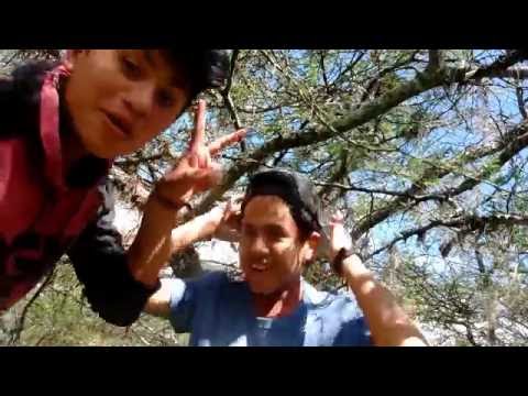 Tipos De Amigos / Los Taytas