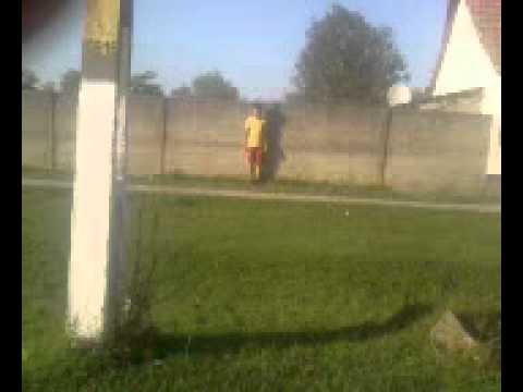 Siclau - Pro  Perfect