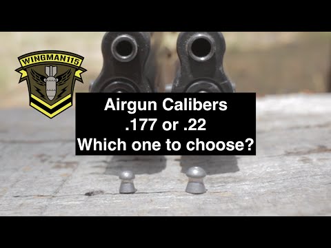 Airgun Calibers  .177 or .22 Which one to choose?