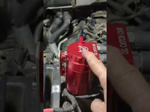 Install a catch can the right way | F-150