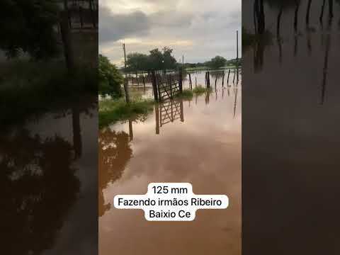 Chuva de 125mm em Baixio no Ceará hoje! SE INSCREVA  #chuvas #nordeste #fazenda