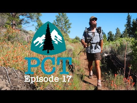 PCT 2018 Thru-Hike: Episode 17 - Good Days and Bad Days