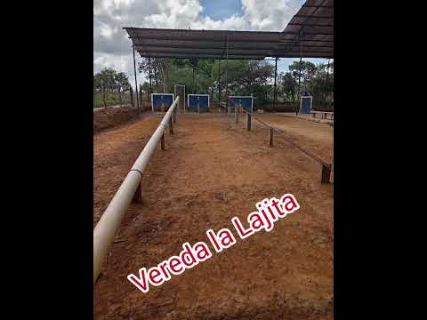 cuña radial bolo club , Villanueva Santander