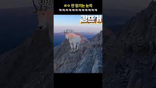 뭐여? 사람이여?;;