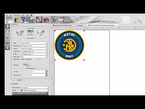 DevStudio DTF RIP V8 for A3+ Size Printers (up to 13 inches): RIP software designed for printing with DTF technology - 0begIcEARik