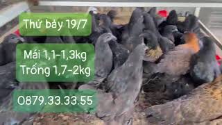 Thứ bảy 19/07