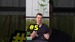 Download lagu 6 TIPS TO IMPROVE YOUR PLANT GROWTH WITHOUT SPENDING A PENNY! mp3