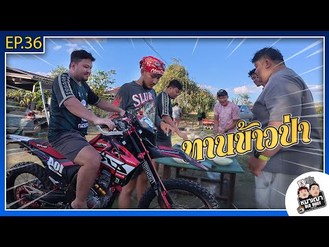 Old Dog!! | Ep 36 Eating in the Forest