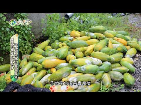 《田下大小事》EP6 與老天和平共處