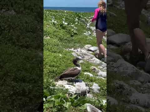 turismo Nova Viçosa Bahia Abrolhos