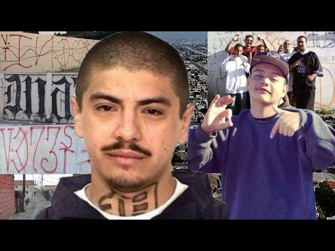 15 Year-old K*lled For Crossing Out Gang Graffiti