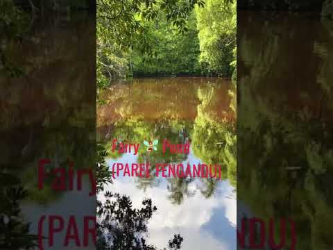 Fairy 🧚‍♀️ pond (Laamu atoll Gan)