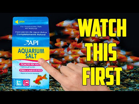 Watch this before you use Salt in your Fish Tank!