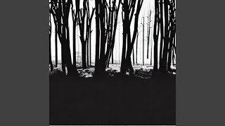 Cover art for Tangled dreams