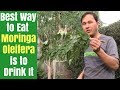 Best Way To Eat Moringa Is To Drink It How To Juice Fresh Moringa Oleifera Leaves