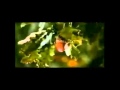Bethlehem Tagebuch einer Totgeburt (Official ...