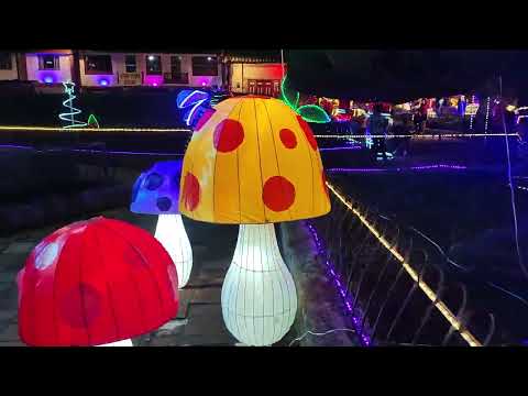 Aquiteven : 7.172  TÓPAGA BOYACÁ, VISTIÓ BONITO ALUMBRADO NAVIDEÑO PARA AGRADAR A LOS TURISTA 2.025 