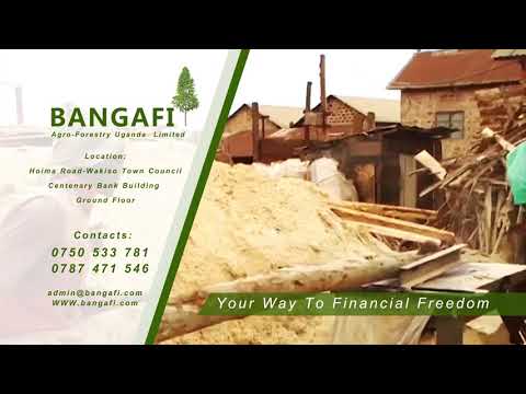 BANGAFI