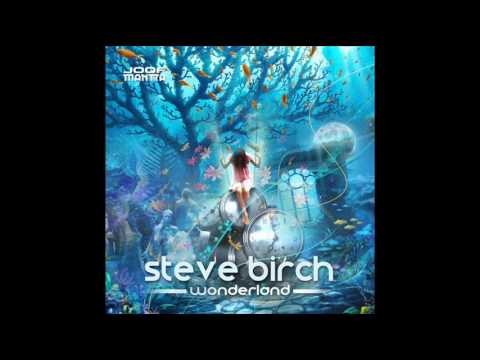 Steve Birch & The Digital Bllonde   Its a brain