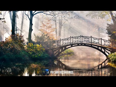 Michael Flint - Full Of Nature (Original Mix)