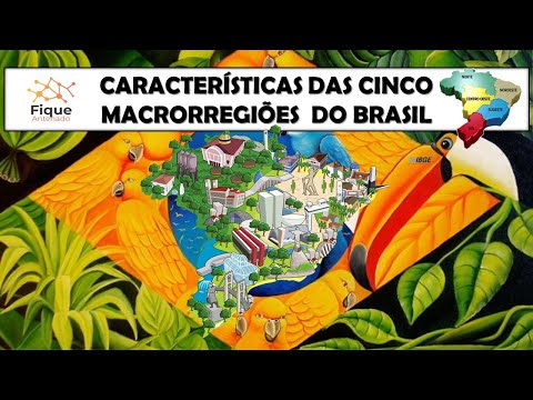 CHARACTERISTICS OF THE 5 MACROREGIONS OF BRAZIL