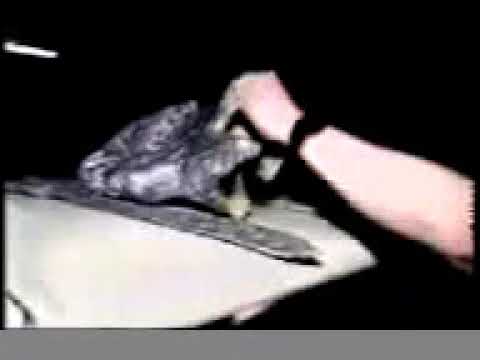 Harold Olejarz, Performance, NYC, June 1990