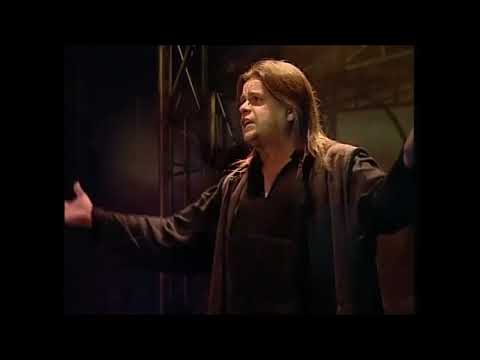 Nikdy to nevzdám Cover Diviš