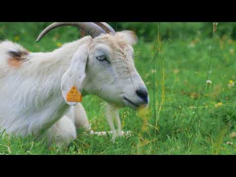 Agroturystyka Pałac Heymanna - Zielone Lato 2022